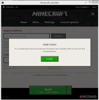 error.PNG