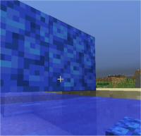 floating coral 5.jpg