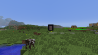 2012-12-29_11.49.26.png