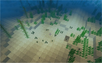 sea pickles.jpg