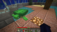Broken turtle.png