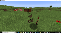 Invisiable horse (2).png