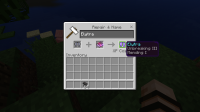 Elytra enchant.png