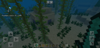 Screenshot_20180520-161708_Minecraft.jpg