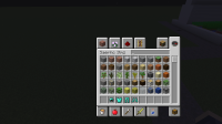 Minecraft 1.12.2 6_9_2018 12_29_04 PM.png