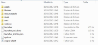 Capture-Fichier-dans-.Minecraft.jpg