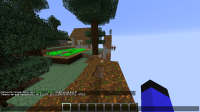 chunks around the village.png