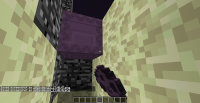 placed_in_portal_block.png