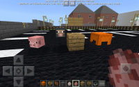 Screenshot_20180626-220750.jpg