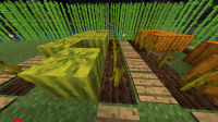 2018-07-19_11.38.36.png
