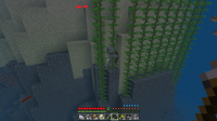skeleton.png