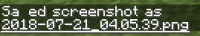 bug2.png