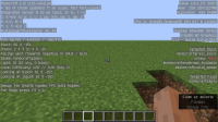 Minecraft Error Bajon Masivo de FPS.png