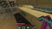Minecraft 7_27_2018 12_59_57 PM_Moment(11).jpg