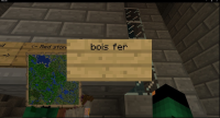 Minecraft_signs_bug_01.jpg