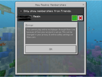 Bug capture for mojang with blackout.PNG