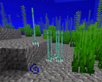tridents 1.jpg
