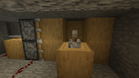 The set up fo minecraft bug 'number here'.png