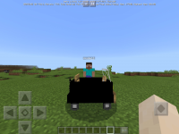 bug2.jpg