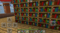 Screenshot_20181017-110920_Minecraft.jpg