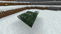 Leaves 3.png