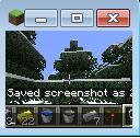 minecraft small.PNG