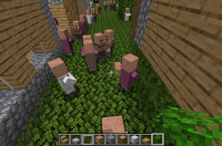 Gathering in one small part of the village.png