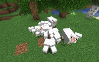 Minecraft_Bug.png