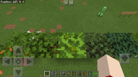 Screenshot_20181213-195256_Minecraft.jpg
