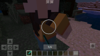 Screenshot_2018-12-15-19-08-29-007_com.mojang.minecraftpe.png