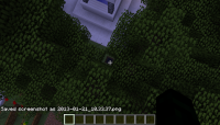 2013-01-21_10.33.40.png