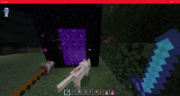 2. Portal generated.png