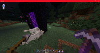 3. Cleared tree so you can see the original spot.png