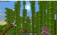 2018-12-28 16_35_47-Window.png