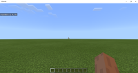 Minecraft 12_31_2018 3_06_56 PM.png