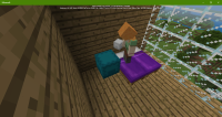 Minecraft 1_22_2019 1_00_11 PM.png