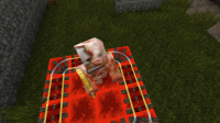 2013-01-25_07.32.22.png