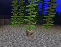 Screenshot_2019-02-04-21-40-07-1.png