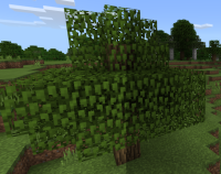 Brightness transition.png