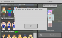 Screenshot_20190303-191245_Minecraft.jpg