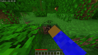 Screenshot (283).png