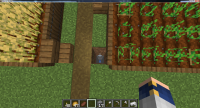 Hole to Void Beneath Bedrock.png