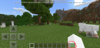Screenshot_20190309-033151_Minecraft.jpg
