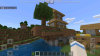 Screenshot_2019-03-17-13-33-16-963_com.mojang.minecraftpe.png