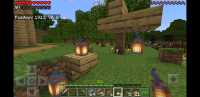 Screenshot_20190328-120340_Minecraft.jpg