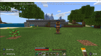 Minecraft Wandering Trader with no Llamas.png