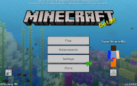 Screenshot_20190418-110248_Minecraft.jpg