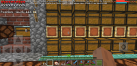 Screenshot_20190420-163824_Minecraft.jpg