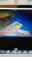 bug 1.PNG