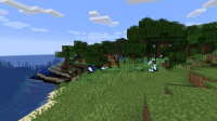 Minecraft Screenshot 2019.04.30 - 00.24.10.44.png